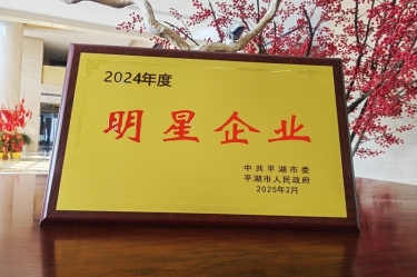 新春新景新气象 | 8868体育手机版登录入口在平湖三干大会上喜摘荣誉！